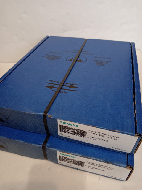 Siemens S30813-Q59-X3-8/01